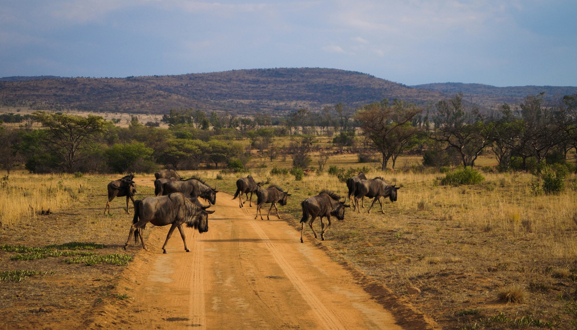 Kruger National Park Adventure and Outdoor Activities