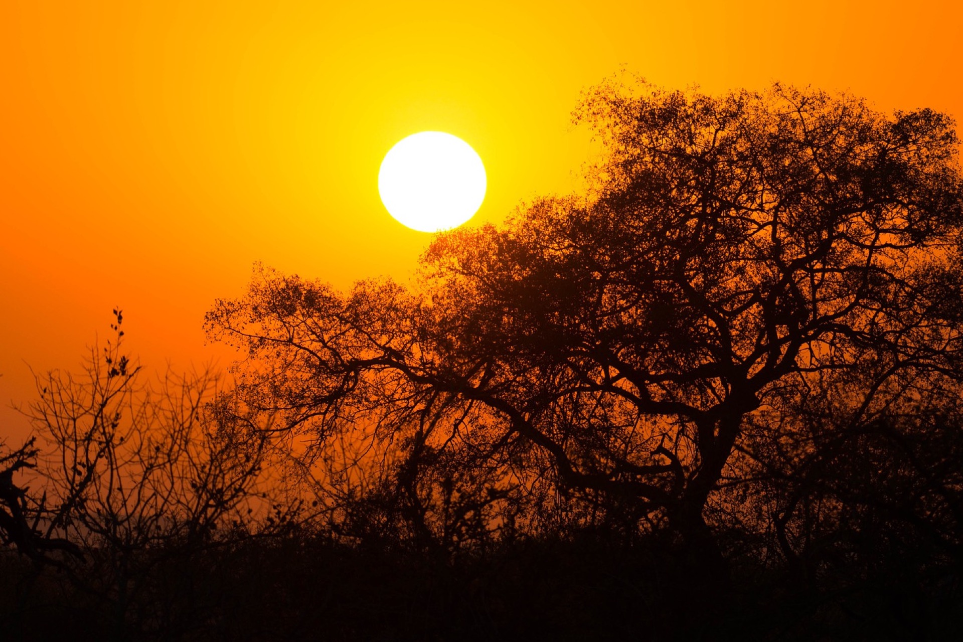 Kruger National Park Ancient Wildlife Heritage