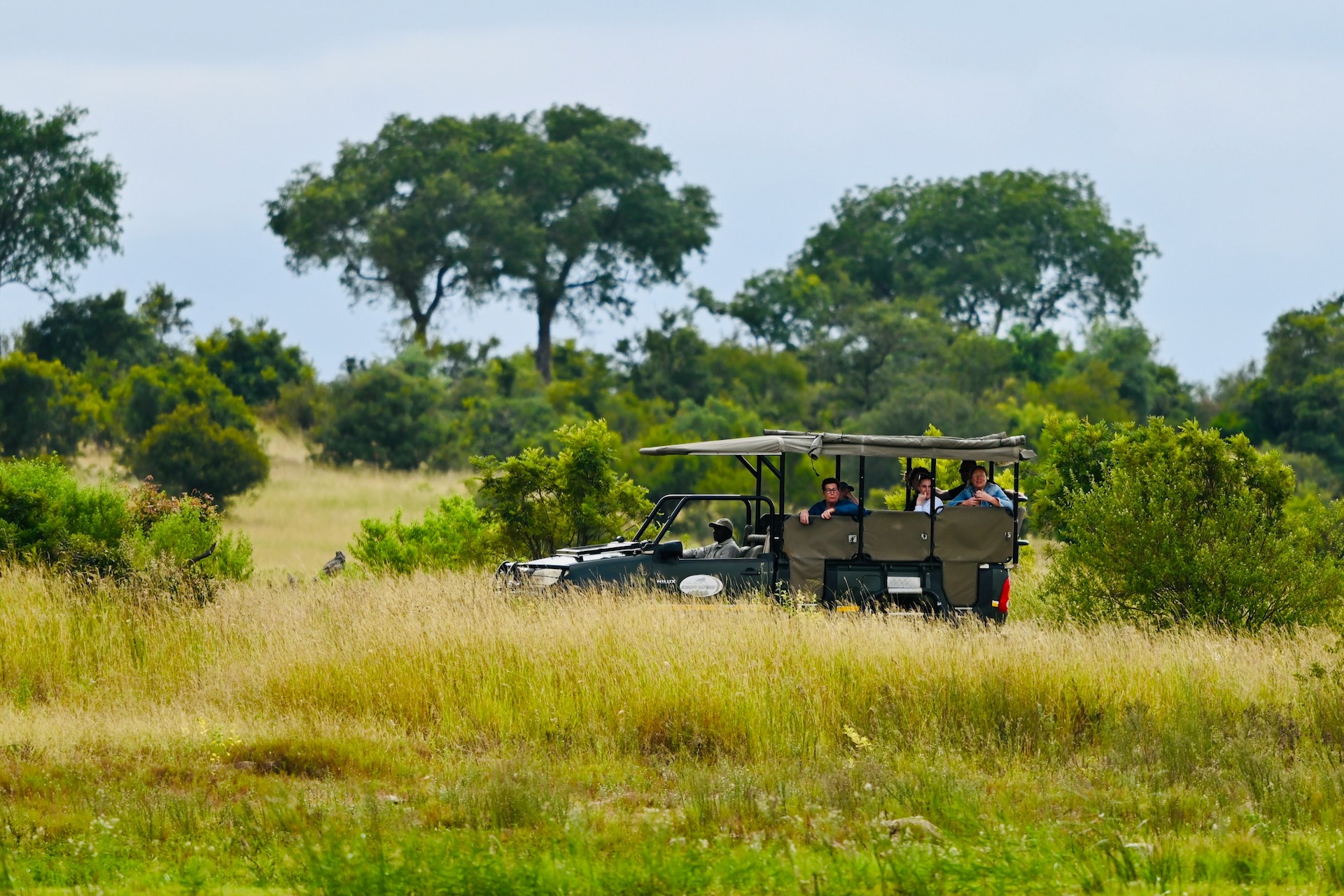 Kruger National Park Game Drives and Wildlife Viewing