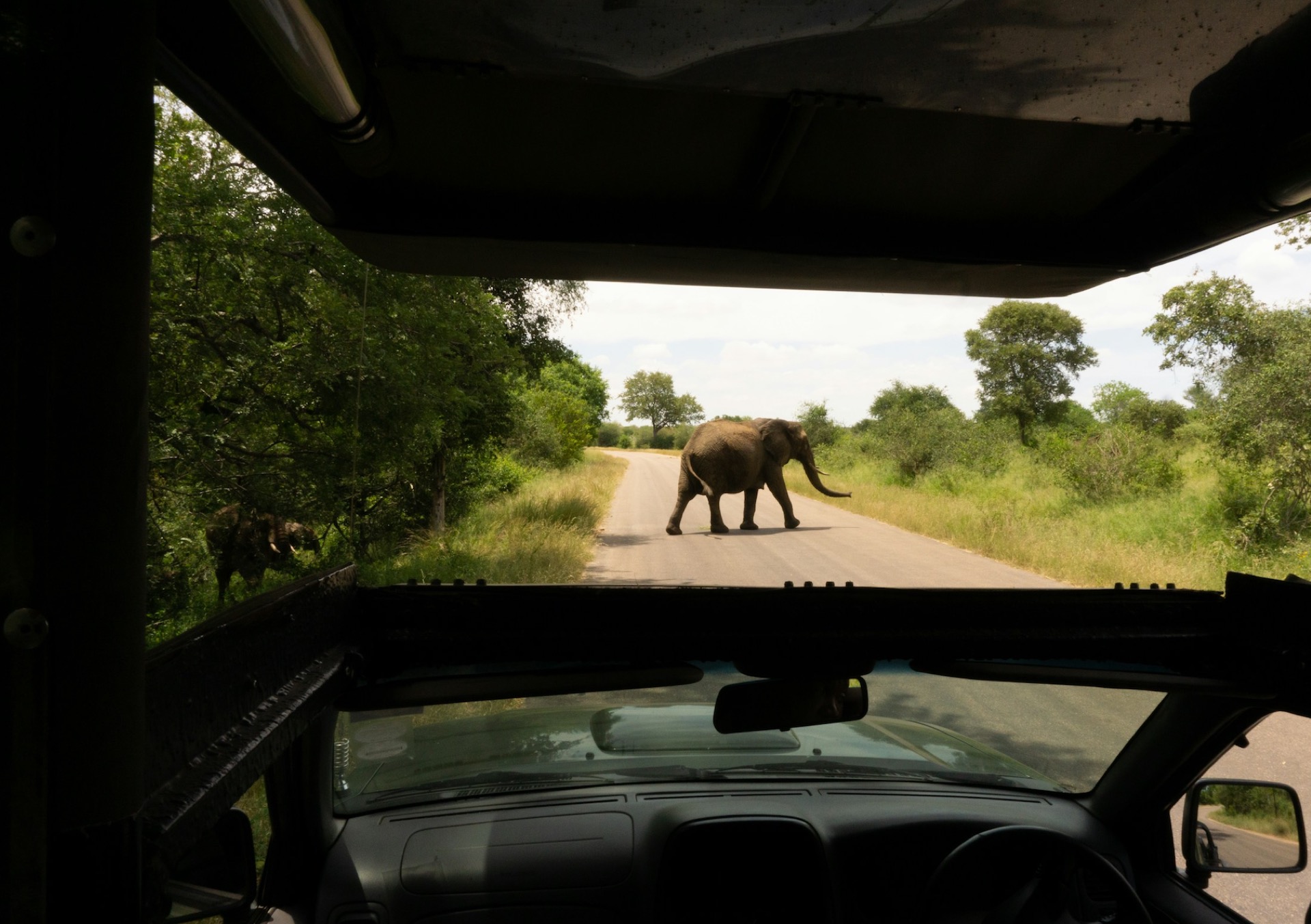 Gateway Towns and Services Near Kruger National Park