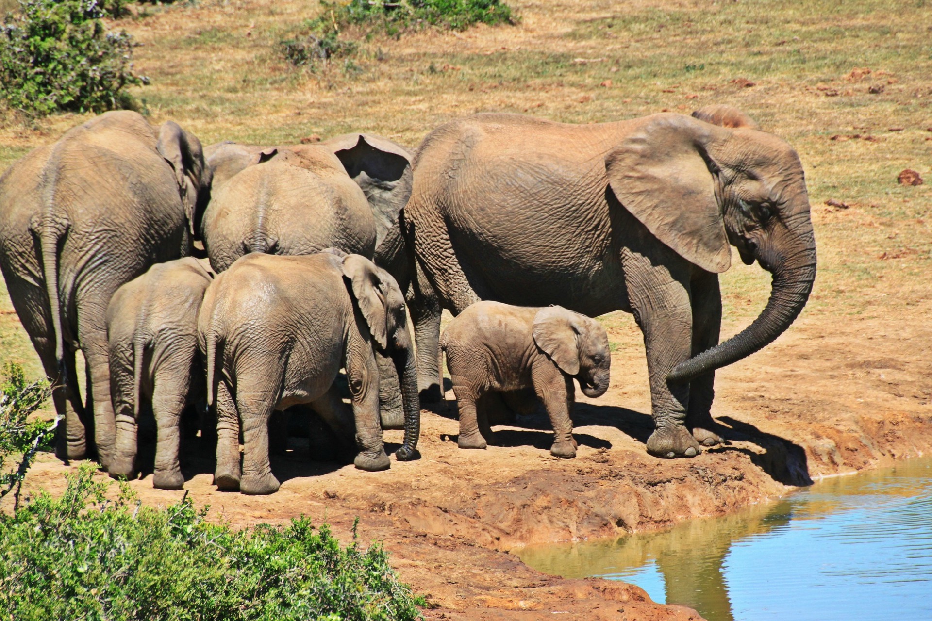 Modern Kruger National Park Conservation