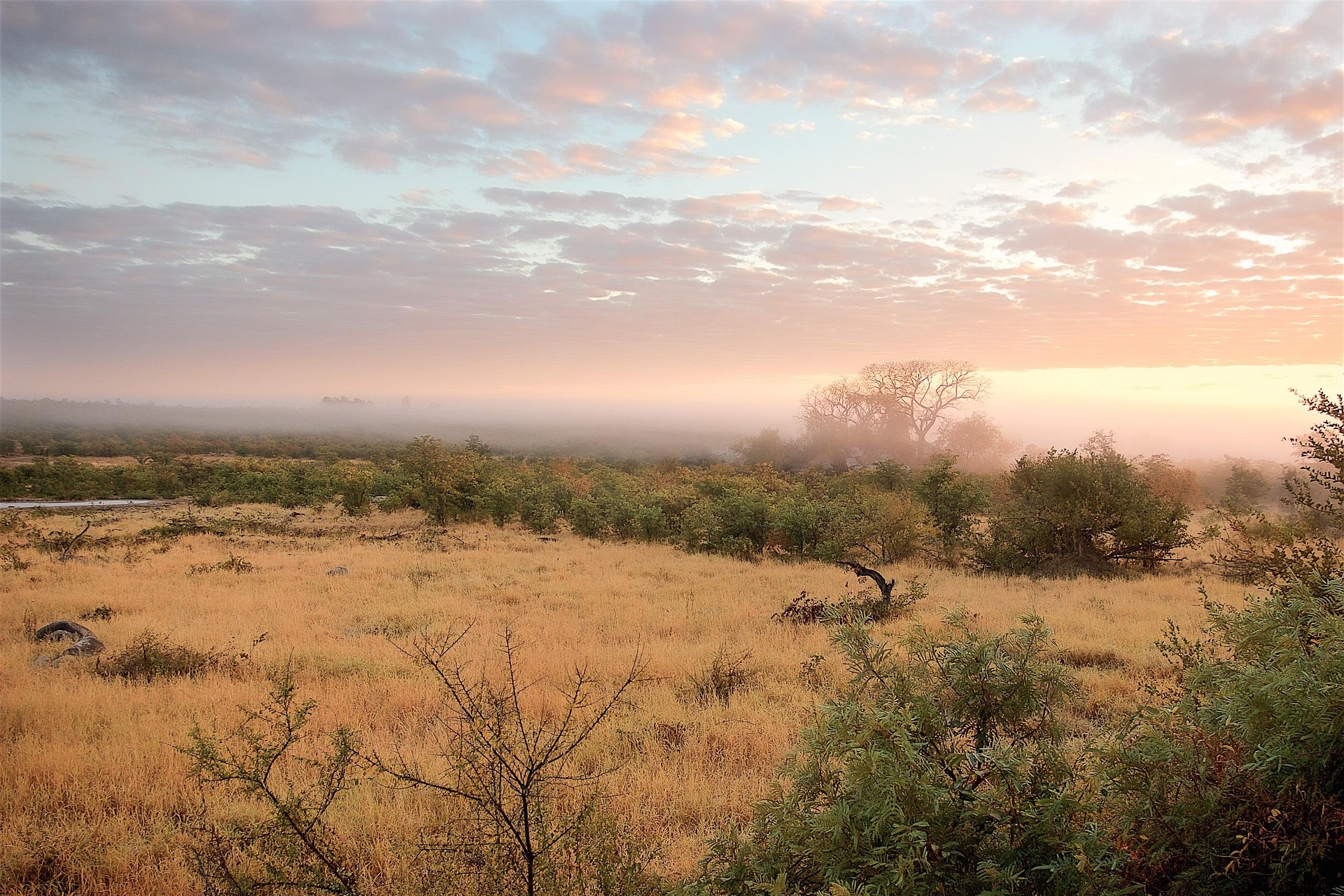 Kruger National Park Conservation History
