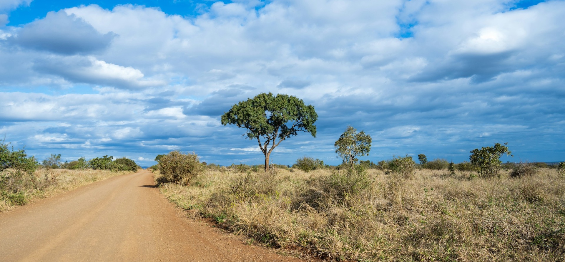 Kruger National Park Rest Camps and Accommodation