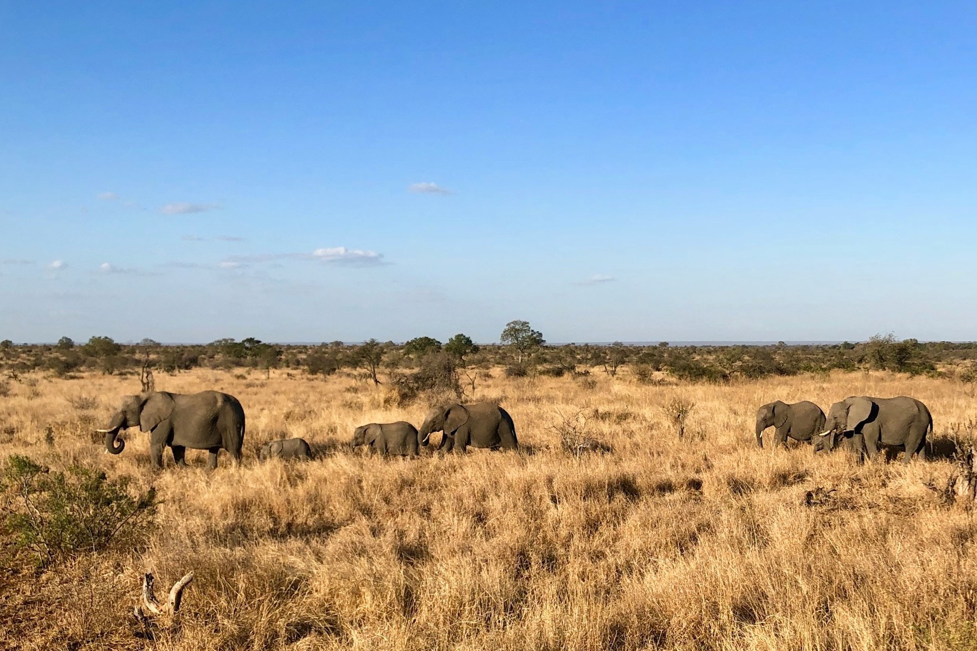 Kruger National Park Safari Weather Conditions