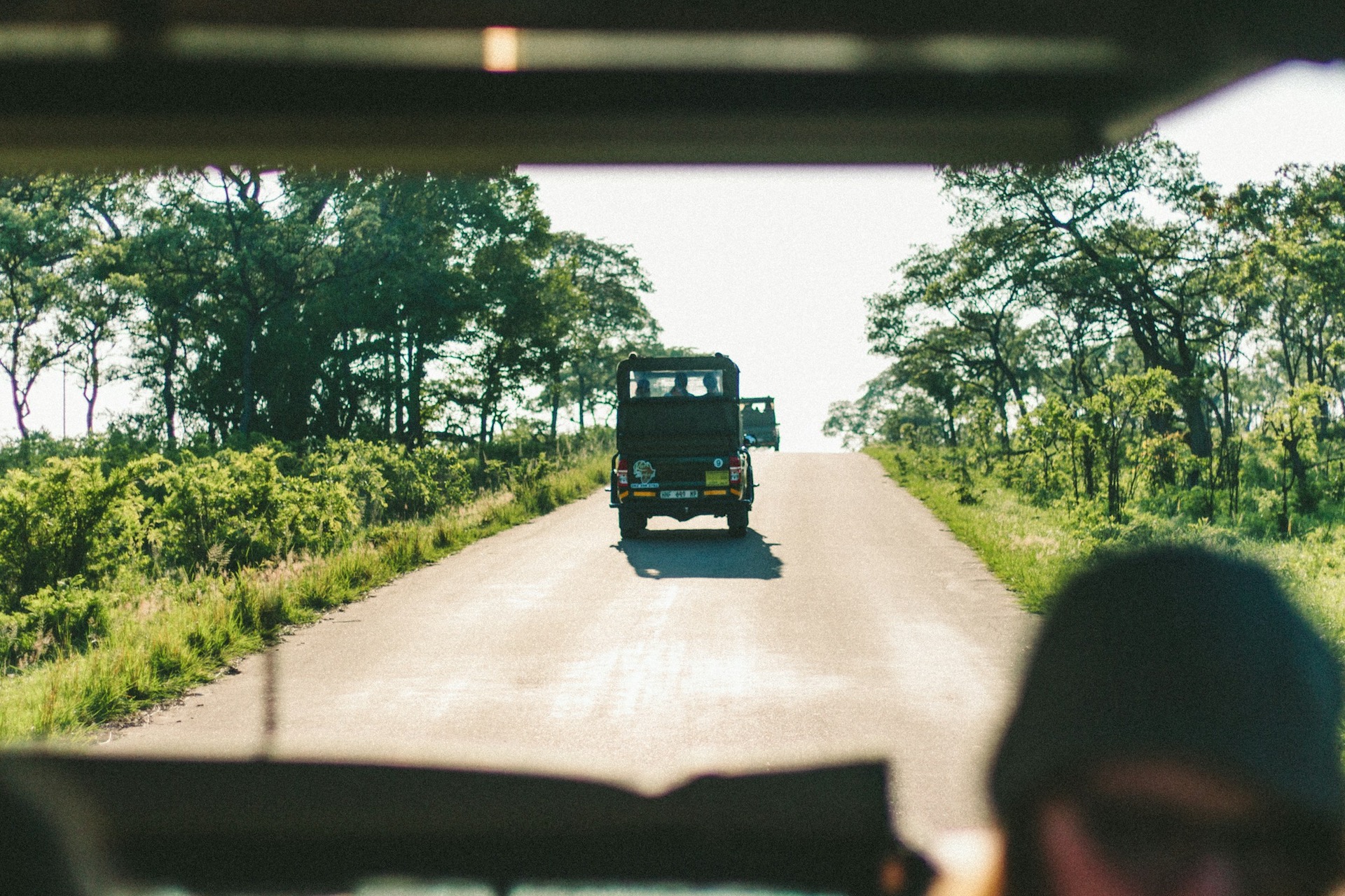 Kruger National Park Self-Drive Safari Adventures