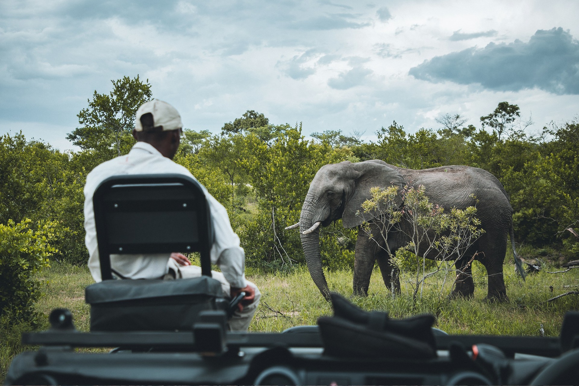Kruger National Park Weather and Wildlife Viewing